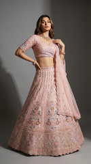 Gajri Embroidered Lehenga Choli with Net Dupatta  Festive Wear